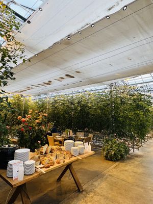   at Fridheimar in Reykholt