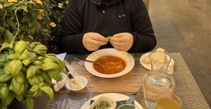 Fresh basil on the table + they brought me vegan butter & sour cream   at Fridheimar in Reykholt