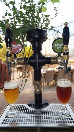 Tomato beer. two types! at Fridheimar in Reykholt