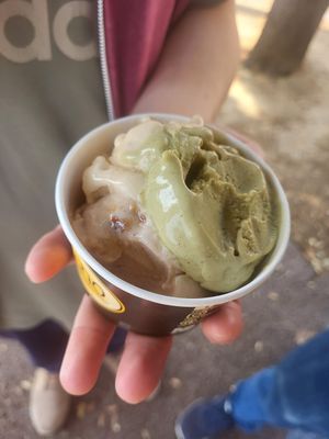  at Zeno Gelato e Cioccolato in Verona