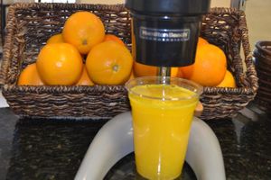 Freshly Squeezed Orange Juice and Vegetable and Fruit Juicer, also Available Fruit Smoothies!   at Holy Bagels and Pizzeria in Miami