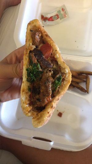 Soy Meat Schwarma Special- comes with both halves and fries  at Holy Bagels and Pizzeria in Miami