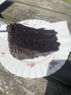 The best chocolate cake! at Apple Tree Cafe in Trevescan
