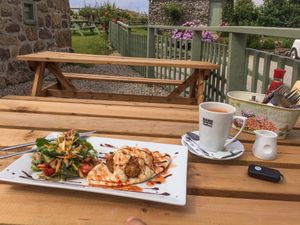 Vegan Falafel with Hummus and Salad on Pitta & Soy Tea at Apple Tree Cafe in Trevescan