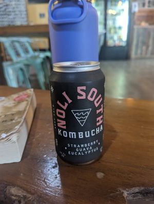 Local kombucha at Finn's Island Style Grub in Panama City Beach