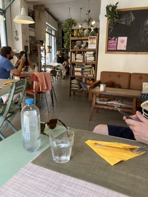   at Fram Cafe in Bologna