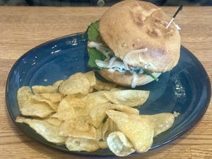 Kepner   at The Tomato Head - Gallery Shopping Ctr in Knoxville