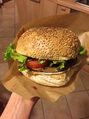 vegan soy burger at O'Vita in Parma