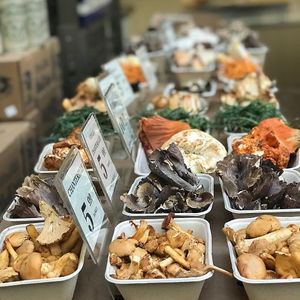 fungi at Embacardero Farmer's Market in San Francisco