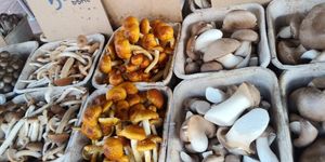  at Heart of the City Farmers' Market in San Francisco