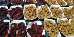  at Heart of the City Farmers' Market in San Francisco