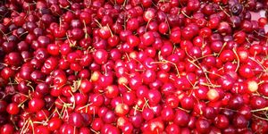  at Heart of the City Farmers' Market in San Francisco