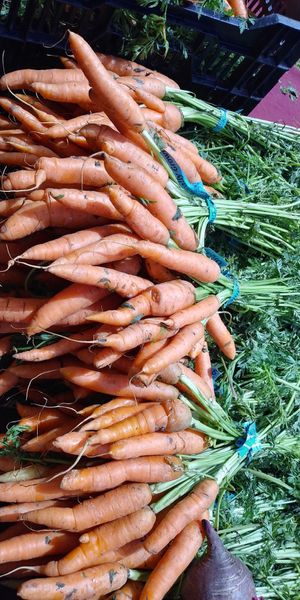  at Heart of the City Farmers' Market in San Francisco