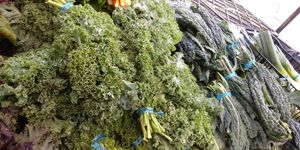  at Heart of the City Farmers' Market in San Francisco