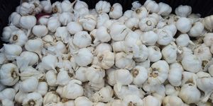  at Heart of the City Farmers' Market in San Francisco