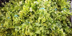  at Heart of the City Farmers' Market in San Francisco