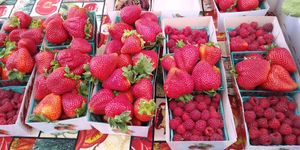  at Heart of the City Farmers' Market in San Francisco