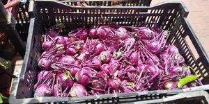  at Heart of the City Farmers' Market in San Francisco