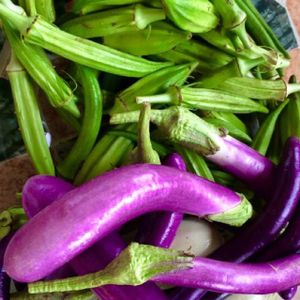 fantastic fresh organic vegetables  at Chile Rojo in Puerto Viejo De Talamanca