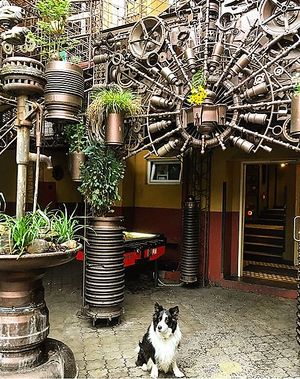 Dog friendly place  at Kavarna Klubu Cross in Prague