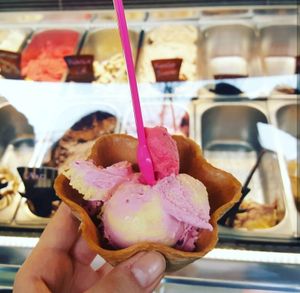 Vegan ice cream at Der Verrueckte Eismacher in Munich