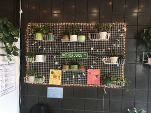 Ambiance  at Mother Juice in Cambridge