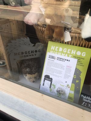 You can tell what kind of place it is from this  at Blondes in Cottingham