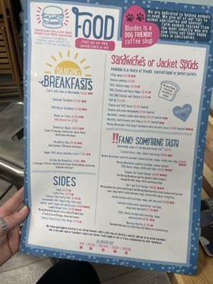   at Blondes in Cottingham