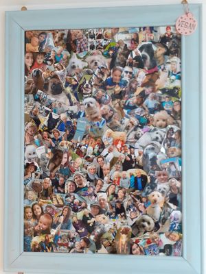  Blondes in Cottingham 100% fully vegan cafe at Blondes in Cottingham