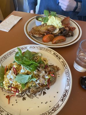   at Dear Daisy in Forestville