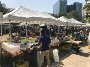 Stands in the market at Farmers' Market in Dubai