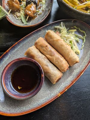Tasty springrolls at Soy in Berlin