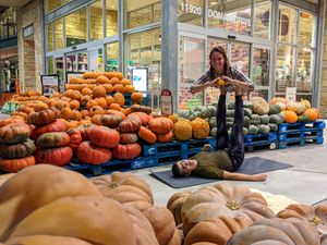 Check out the pumpkins... at Whole Foods Market - Domains Dr in Austin