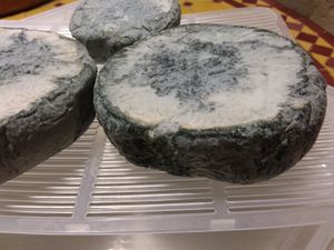 vegan roquefort at Pane e Marmellata in Ghasri