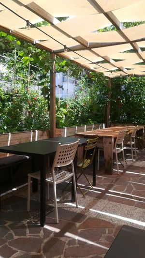 Outdoor tables at Bio's Kitchen in Rimini