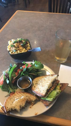 Mac and cheese, Buffalo berry sandwich with added cheese, herbal uplift kombucha on tap. at Fru Fru Terra in Portland