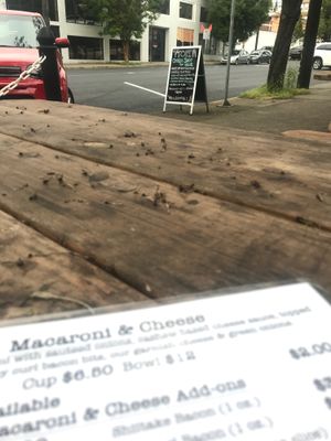 vtopia außenbestuhlung at Fru Fru Terra in Portland