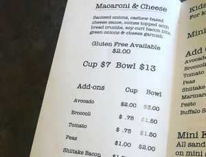 Menu- this cup is in fact a bowl, portions are HUGE at Fru Fru Terra in Portland
