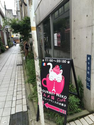グルメ猫カフェ at Gourmet Neko Cafe in Kagoshima