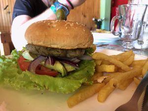 hamburger & french fries (lentil patty). there’s also a choice for a soy patty. at Paz y Flora - Soda Passiflora in Monteverde