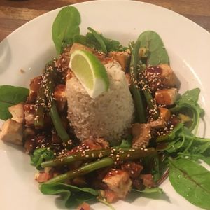 Delicious tofu teriyaki  at Henderson's Vegan in Edinburgh