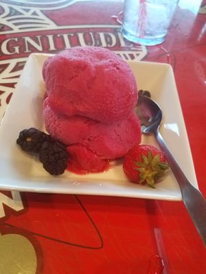 Blood Orange sorbet! Really yummy! at Gas Full Service Restaurant  in St Augustine