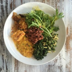 beautiful vegan buffet plate at Malaika Secret Moksha in Sanur