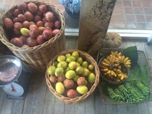 fresh produce at Malaika Secret Moksha in Sanur