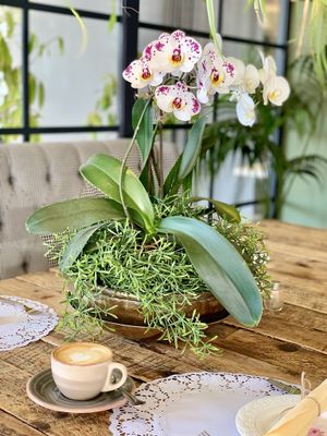 Coffee  at Organic Market and Food in Marbella