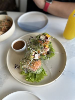Fresh spring rainbow rolls w peanut sauce  at The Vegan Dinosaur in Davao City