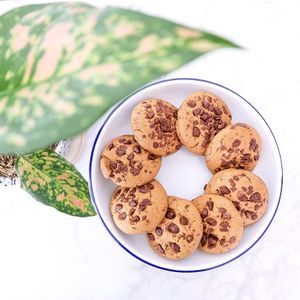 Wholewheat choc chip cookies at The Vegan Dinosaur in Davao City