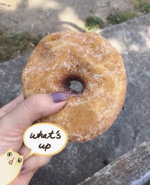 Doughnut  at Smith & Deli in Collingwood