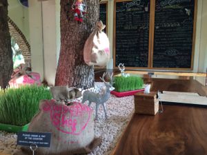 christmas time at Smoothie Shop in Jimbaran