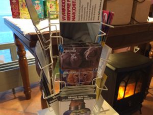 - at Serendipity Fairy Bistrot in Mendrisio